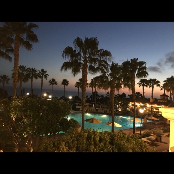 Meet your Posher, Anita - Picture 1 of 1